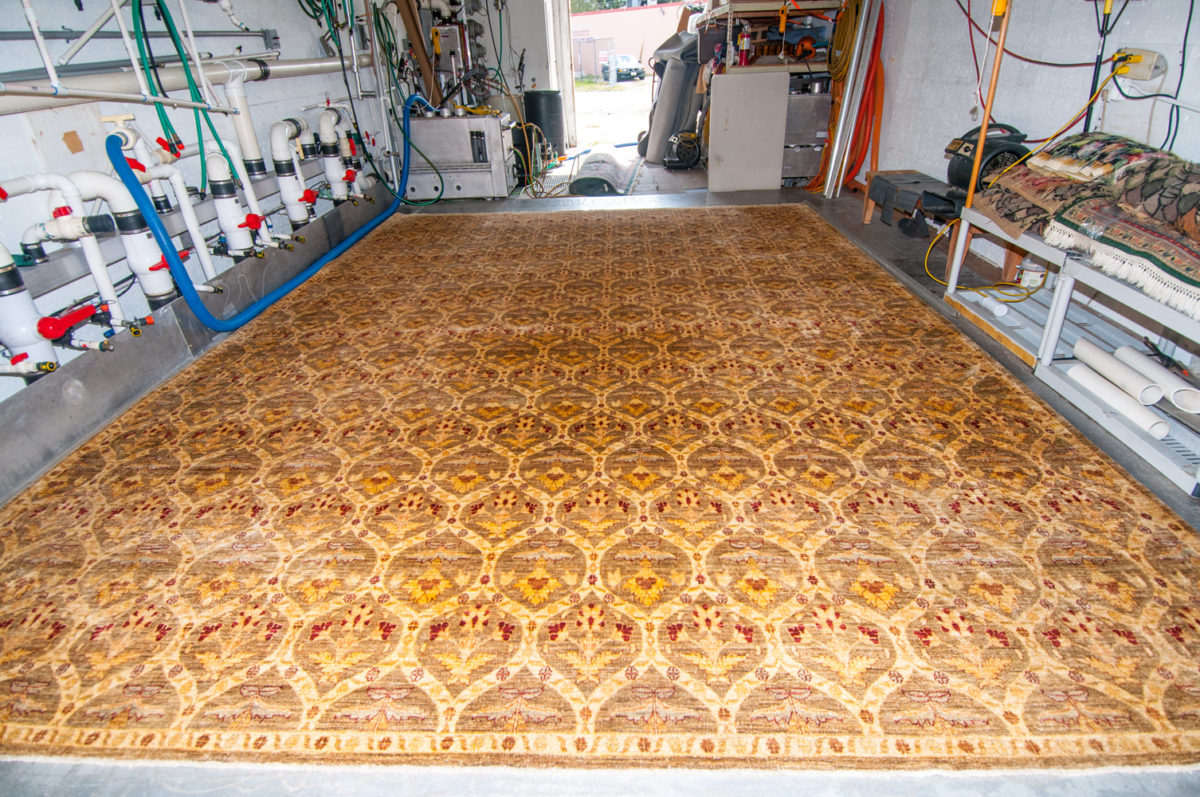 About Us Pet PeePee Oriental rug drapery urine odor removal Company