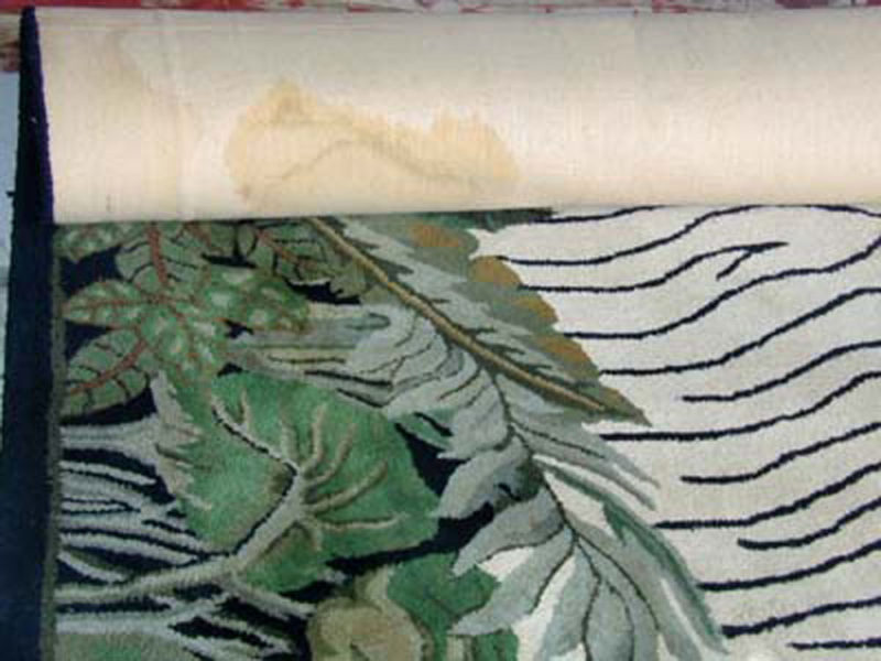 How to care for Oriental rug Carpet Area rug from urine odor stains