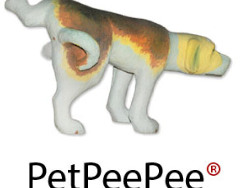 Meir Martin and PetPeePee®: A Case Study in Art, Science, and Invention