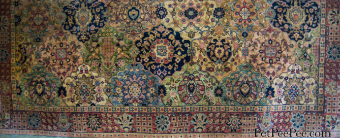 ASH/Mosh Wool Oriental Carpet