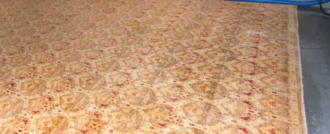 Profassional oriental rug cleaning