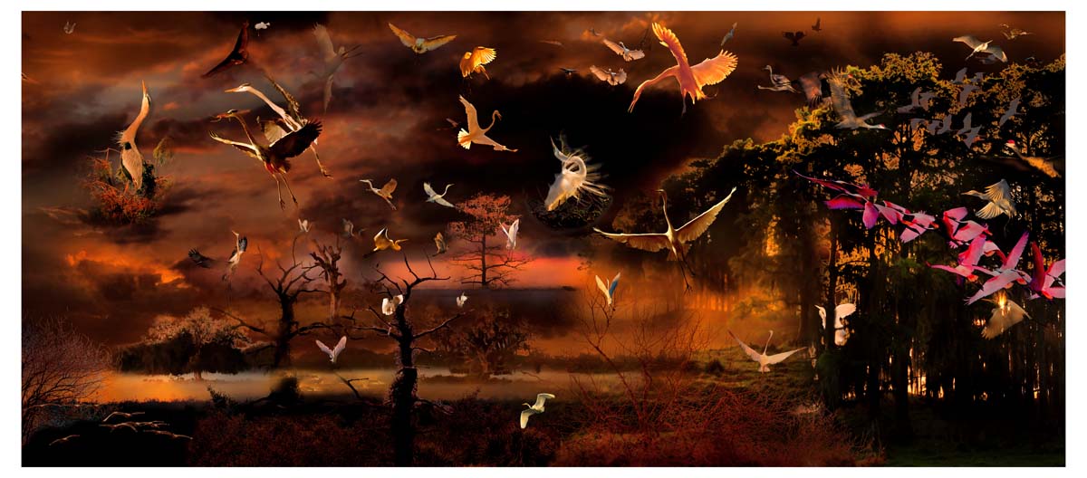 From sunrise to sunset in the Everglades. Meir Martin artwork 40 feet long by 44 inches wide printed on canvas