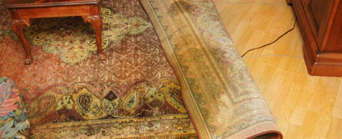 PetPeePee Blog showing area rug with big yellow urine stain before cleaning using the PetPeePee system and Dead Sea Cleaner