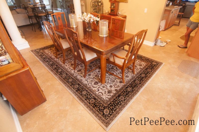 Organic Cleaning wool carpet West Palm Beach by PetPeePee company