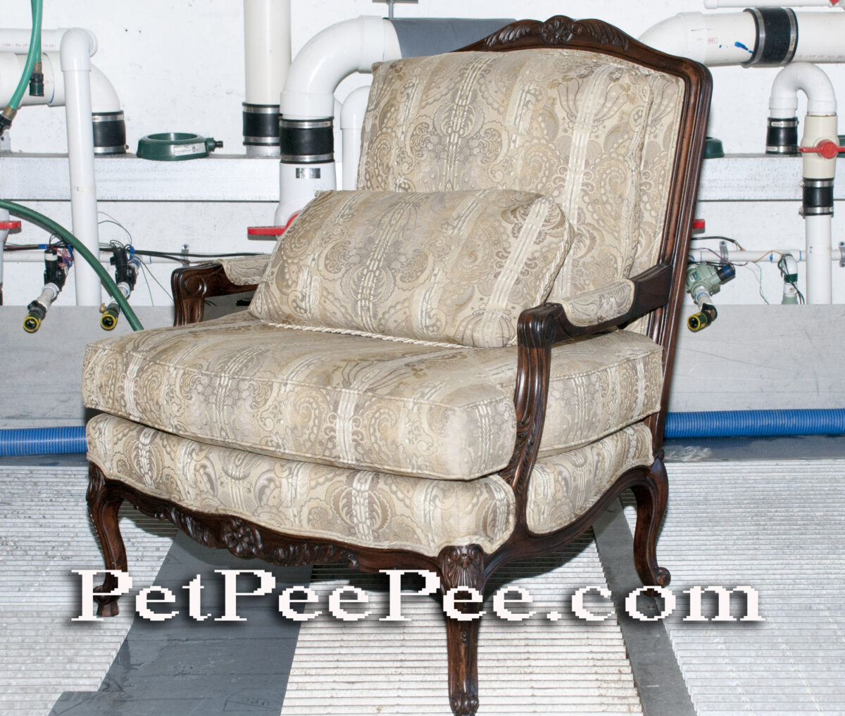 How to clean Oriental rug from dog or cat urine odor stain PetPeePee