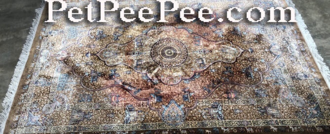 Silk Oriental rug color bleed