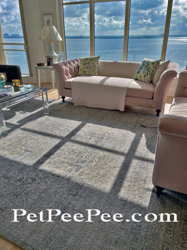 How should the Wool/Silk Area rug be clean Professionally from urine odor