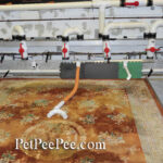 The XpetPee Oriental rug cleaning