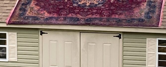 Don't clean Oriental rug at HOME