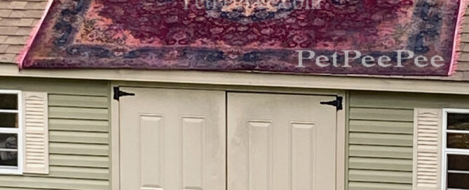 Don't EVER clean Oriental rug at HOME