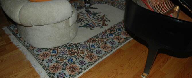 Custom-made Moroccan rug runner cleaned by PetPeePee using the Dead Sea Minerals process for permanent odor removal.