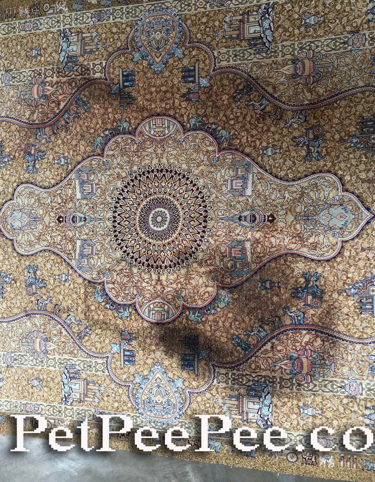 Why does the color bleed when cleaning Antique rugs Question & Answers