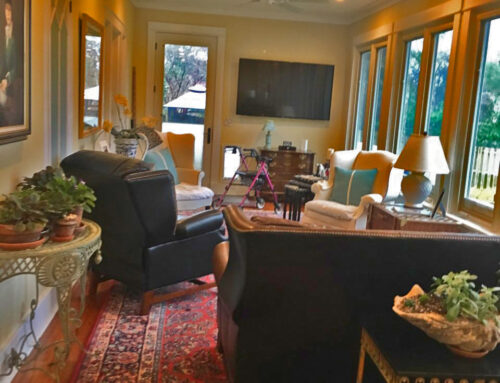 Cleaning Oriental Rugs: Tackling Urine and Food Stains with Care DIY