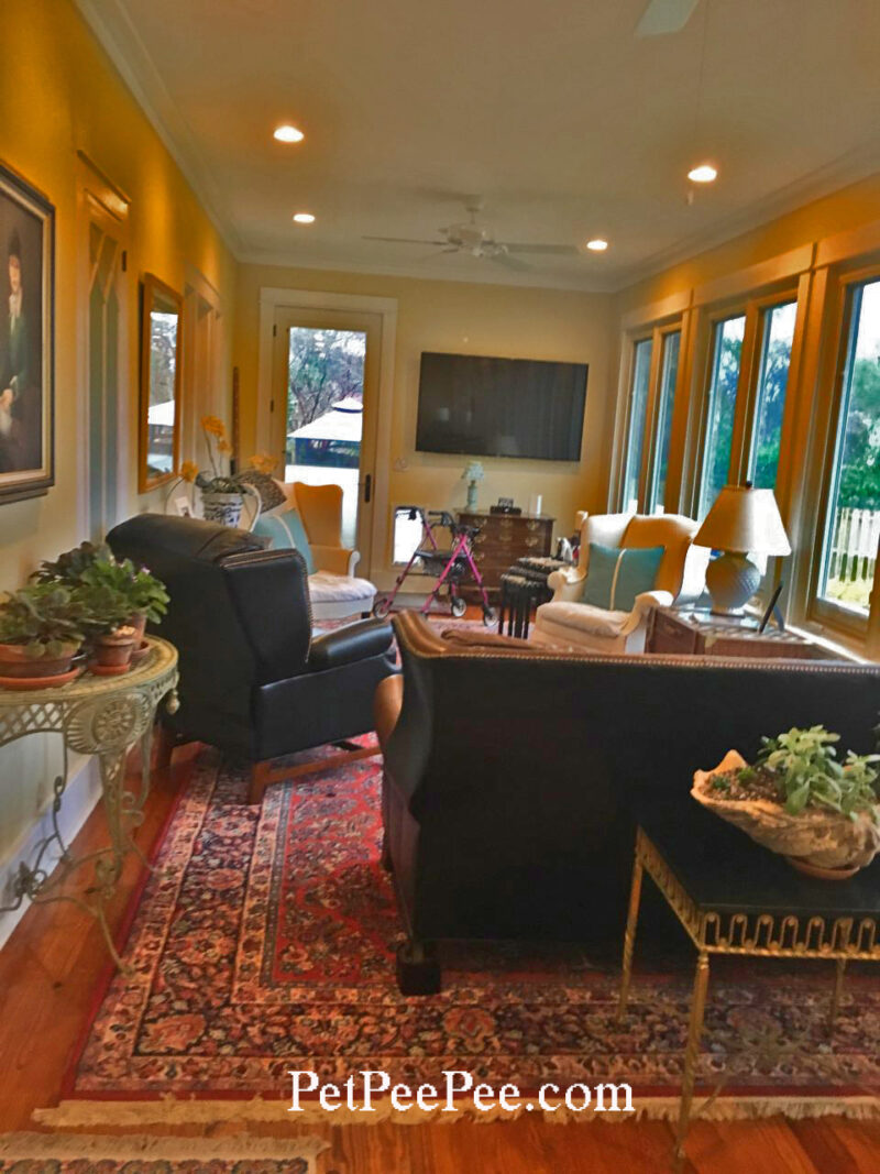 Cleaning Oriental Rugs Tackling Urine and Food Stains with Care DIY