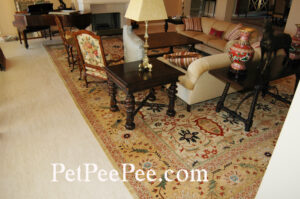 提供尿臭去除的PetPeePee® 国际服务羊毛、丝绸、古董、现代地毯和定制窗帘。