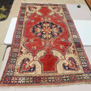 Antique Oriental Persian Carpet cleaned by PetPeePee from cat urine odor