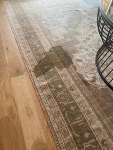 Dog diarrhea on antique Oriental rug