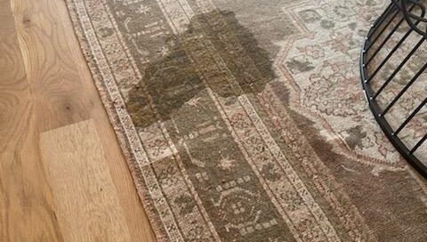 Dog diarrhea on antique Oriental rug