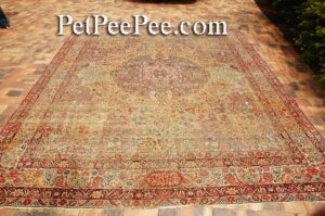 Removing Urine odor from Antique Oriental rug