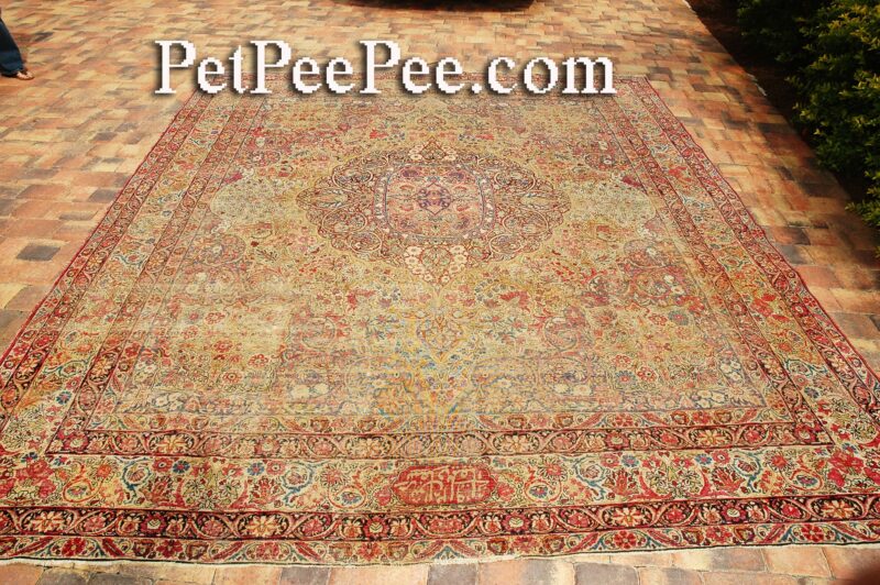 Urine odor removal from antique Oriental rug using the Dead Sea cleaner