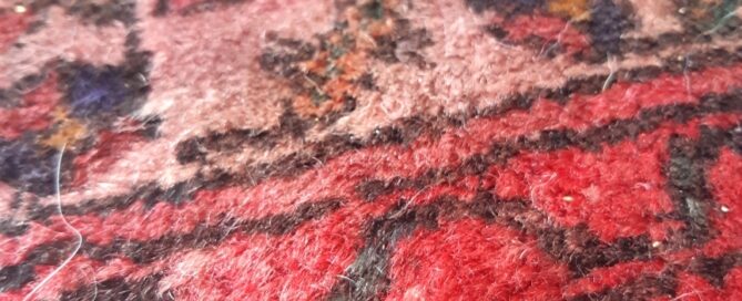 Damaged Moroccan rug showing color bleed after home cleaning with chemicals instead of PetPeePee’s natural Dead Sea Minerals process.