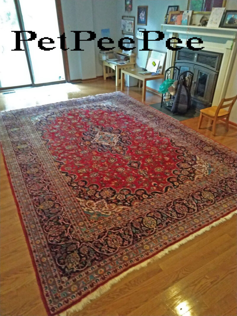 Choosing the Right Cleaning Service for Removing and Cleaning Antique