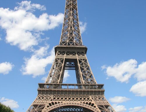 Le service international PetPeePee® pour éliminer les odeurs d’urine