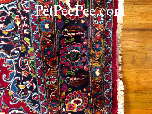 Color run Wool Oriental rug