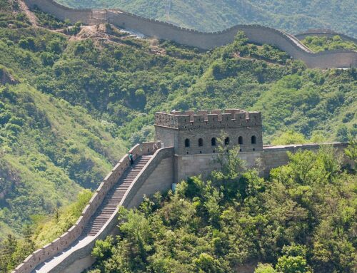 提供尿臭去除的PetPeePee® 国际服务 羊毛、丝绸、古董、现代地毯和定制窗帘。