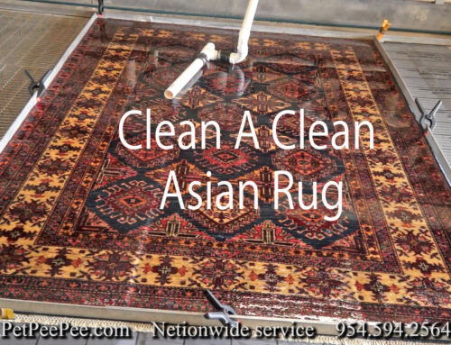 PetPeePee® a Trademark for Oriental rug cleaning from urine odor.