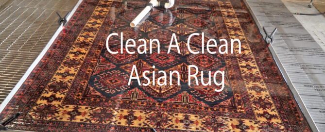 Clean Asian Oriental rug after PetPeePee organic cleaning with Dead Sea formula