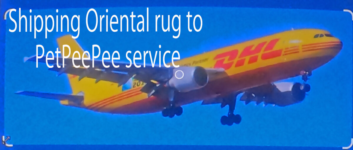 Shipping On Oriental rug overseas to be clean from pet urine odor.