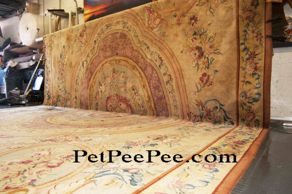 How On Antique Persian Carpet Should Be Clean From Pet Urine