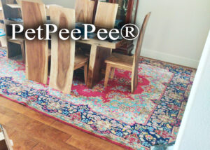Persian carpet under Table