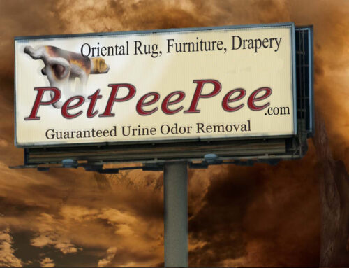 El Servicio Internacional PetPeePee para la Eliminación del Olor a Orina Alfombras de Lana, Seda, Antiguas, Modernas & Cortinas a Medida.