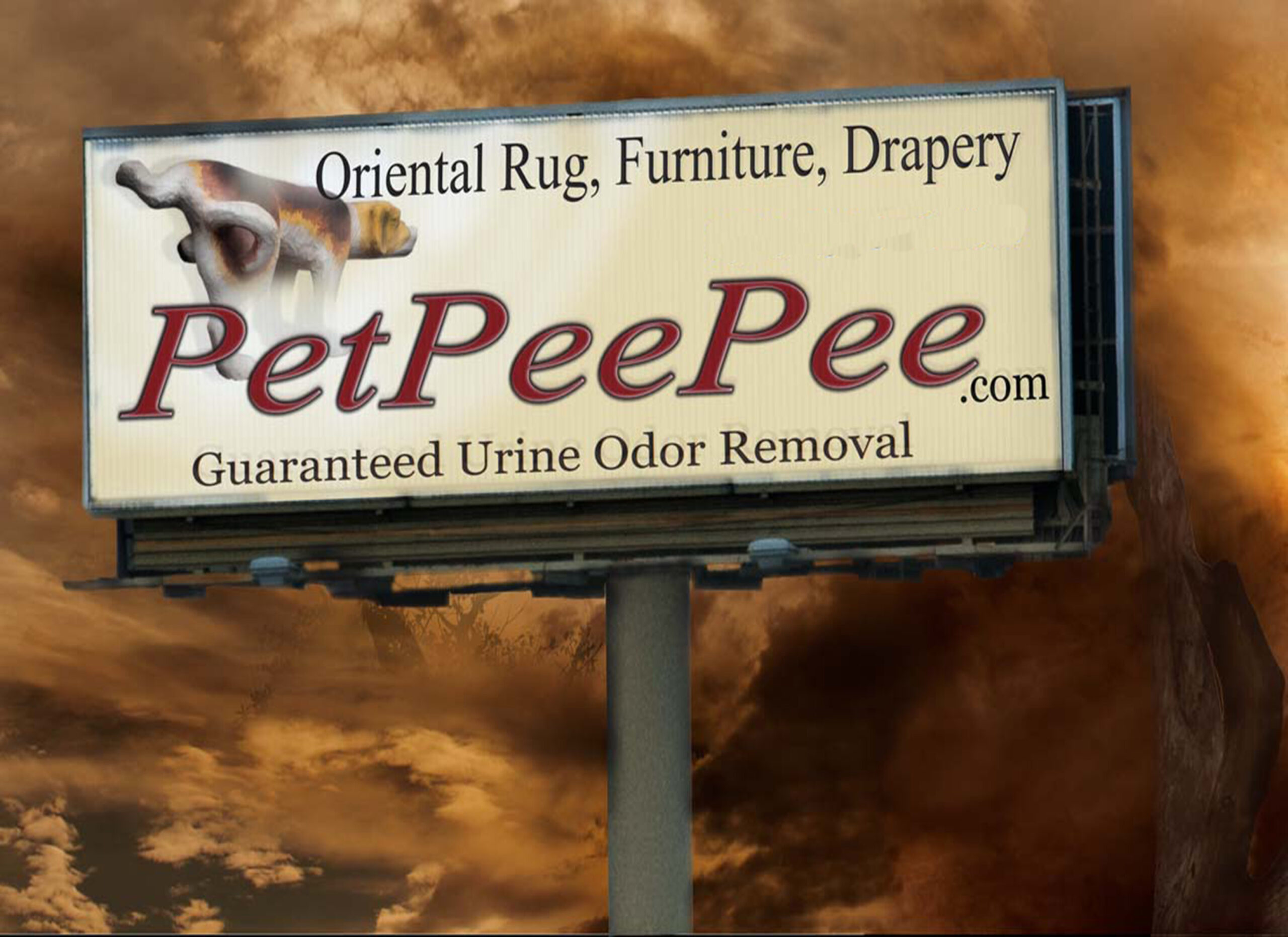 PetPeePee worldwide service rug cleaning