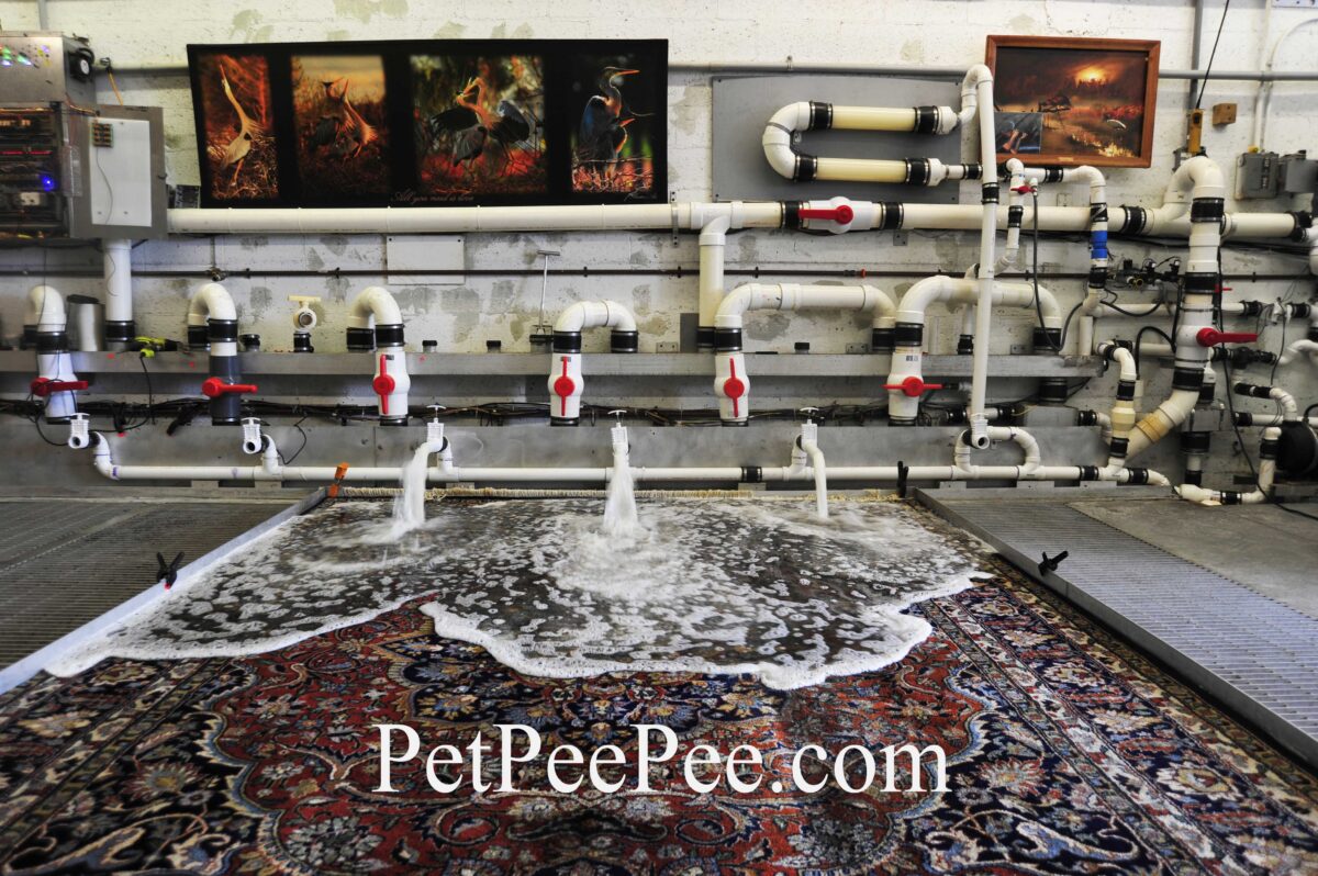 Unveiling the Unmatched Capability of PetPeePee Oriental Rug and