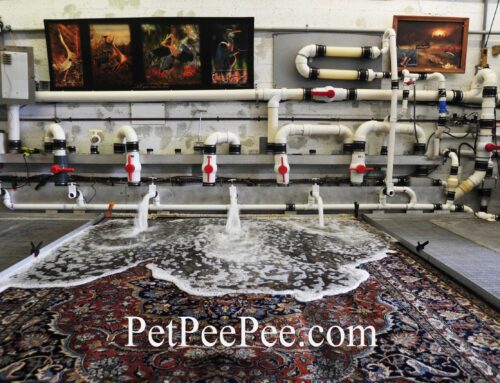 “The XpetPee Machine – Easily Clean and Remove Urine Odor from Oriental Rug/Carpet”