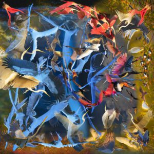 Iterography artwork by Meir Martin showing a swirl of birds in motion with a spinning direction, viewable from any angle