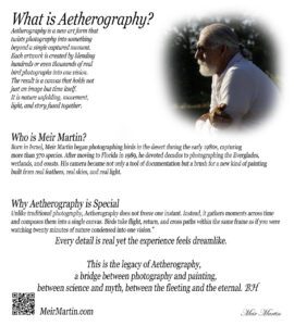 In 1986 Meir Martin published the first bird photography identification book in Israel, invented the PetPeePee® system in 2002, and created Aetherography in 2012, blending photography and art.