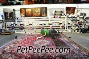PetPeePee vacuum floor machine cleaning Oriental rug, guaranteed urine odor removal using organic Dead Sea formula, nationwide service.